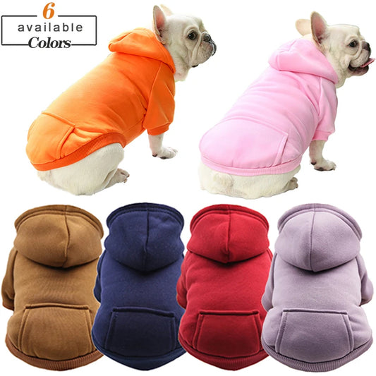 Cozy Paws Winter Hoodie