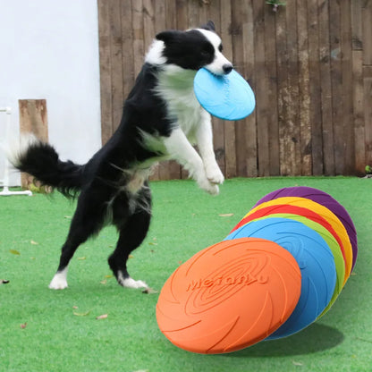 OUZEY Bite-Resistant Dog Disc